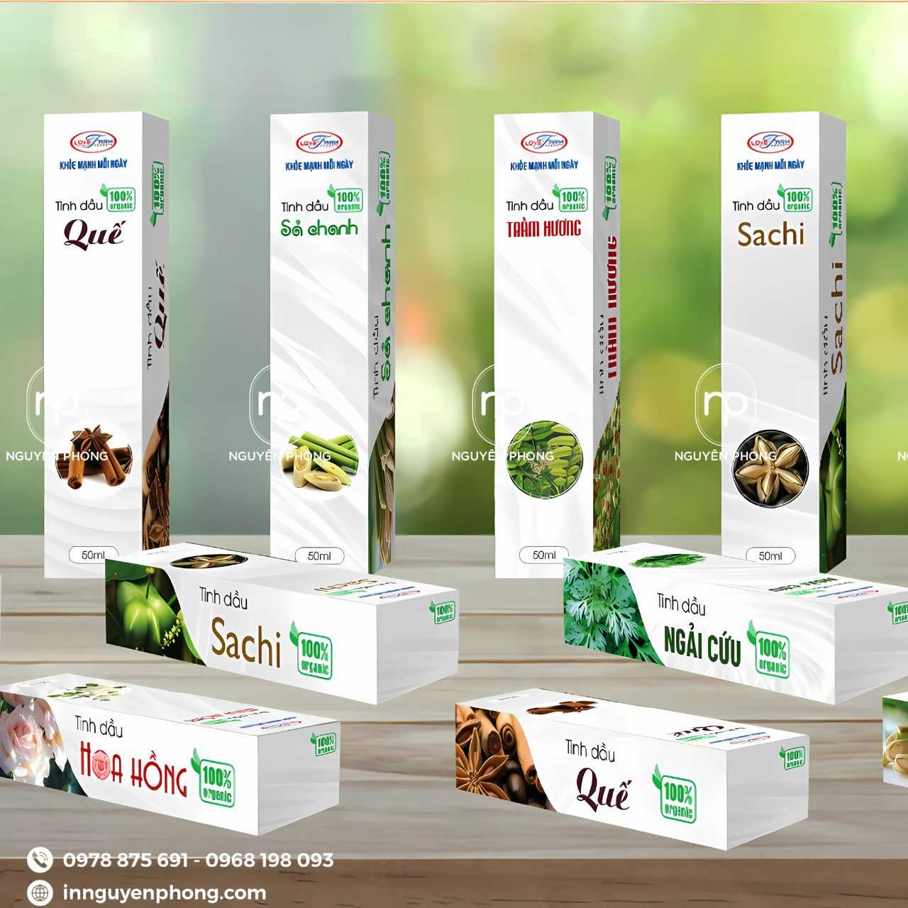 Mẫu hộp đựng tinh dầu nắp gài